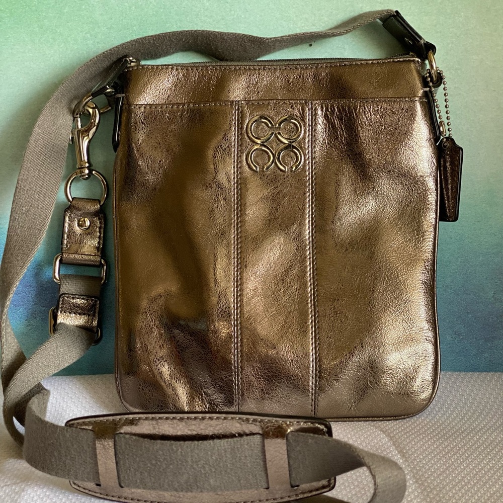 Silver Coach Crossbody Bag